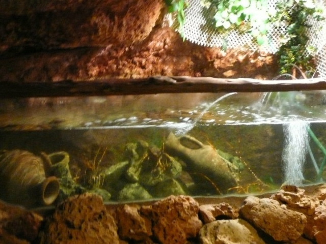  un acquario speciale 